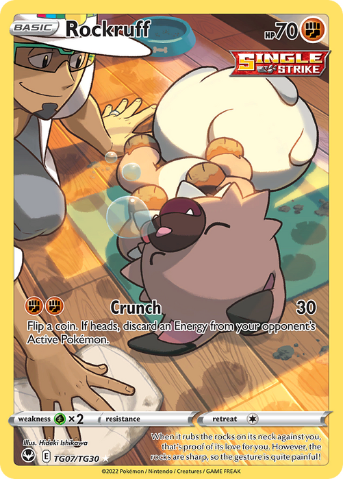 Rockruff Trainer Gallery TG07/TG30 Ultra Rare Silver Tempest Pokemon Card Single