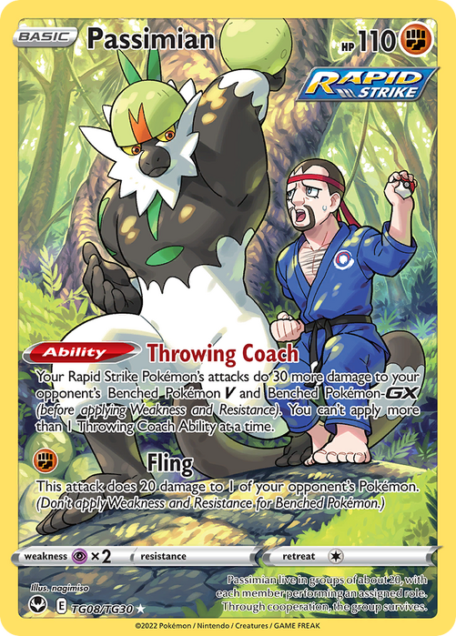 Passimian Trainer Gallery TG08/TG30 Ultra Rare Silver Tempest Pokemon Card Single