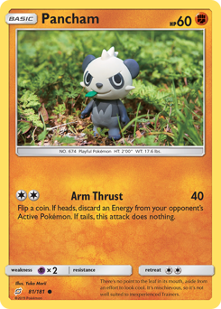 Pancham (81/181) Team Up