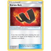 REV HOLO Karate Belt (201/236) Unified Minds
