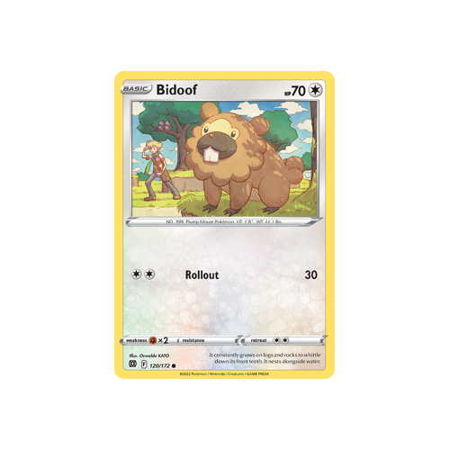 Bidoof Common 120/172 Brilliant Stars Singles