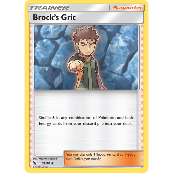 Brock's Grit Hidden Fates (53/68)