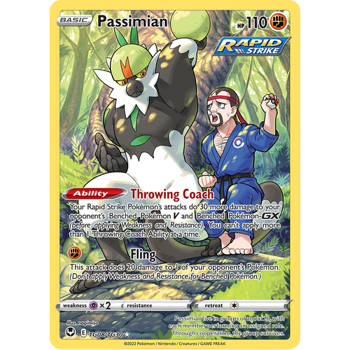 Passimian Trainer Gallery TG08/TG30 Ultra Rare Silver Tempest Pokemon Card Single