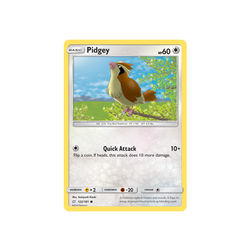 Pidgey (122/181) Team Up